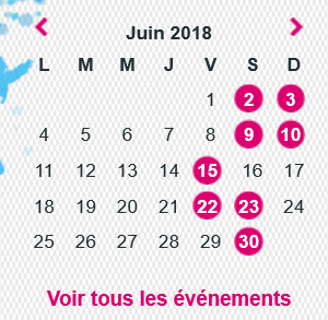 Mini-calendrier