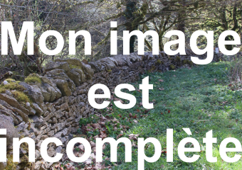 Mon image n'est pas complète en 1ère page !