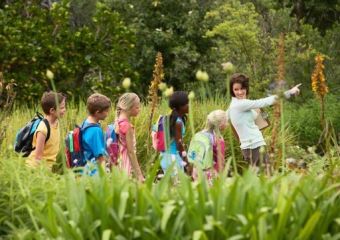 Jouer en nature : une belle source d'épanouissement por les enfants