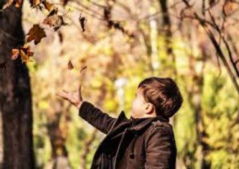 Eveil de l'enfant - Une enquête pour les associations