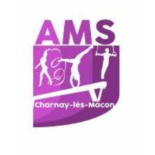 AMS
